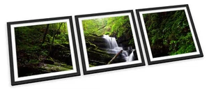 Paesaggio Foresta Fiume Cascata SET STAMPE ARTISTICHE INCORNICIATE Quadro Poster Quadrato - Foto 1 di 5