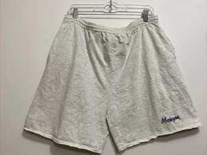 VINTAGE Michigan Premium Jersey Shorts Lee Brand Mens Large Grey *USA Made* - Imagen 1 de 8