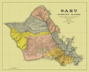 Mapa histórico del condado - Condado de Oahu Hawaii - Beasley 1899 - 23 x 28,36 - Imagen 1 de 20