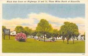 Black Oak Court Motel Highway 33 71 Knoxville Tennessee 1940er Leinen Postkarte - Bild 1 von 2