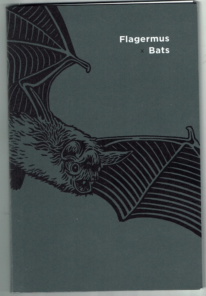 Dinamarca 2025 folleto de prestigio murciélagos SIN ESTAMPILLAS Foto 1 de 1