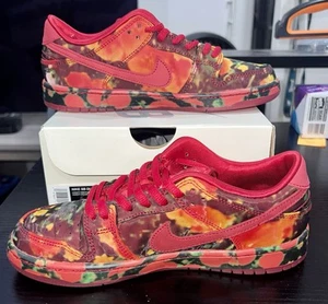 Size 3Y - Nike SB Dunk Low The Wizard Of Oz Poppy Field FZ1236-600 - Picture 1 of 8