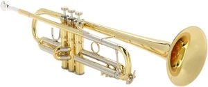 Bach 18043R Professional Stradivarius Bb Trumpet - Reverse Leadpipe - 43 Bell - - Picture 1 of 11