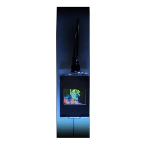 3D Carosel Horse True Colour Hologram Picture LIGHTED WALL MOUNT, Embossed Type - Picture 1 of 7