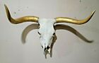 HUGE LONGHORN STEER SKULL 28inches WIDE Gold Leafed HORNS MOUNTED BULL COW HEAD 