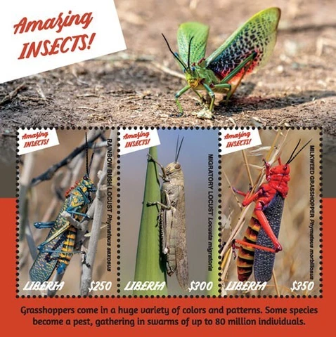 Liberia 2019 - Amazing Insects Grasshopper -Sheet of 3 stamps - Scott #3318- MNH Cover