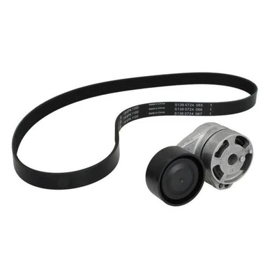 JUEGO CINTURÓN ACANALADO V 529 0576 10 INA PARA VW GOLF VIII VARIANTE (CG5 DB5) - Imagen 1 de 3