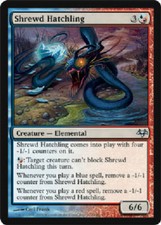 SHREWD HATCHLING X4 4 4X Eventide MTG Magic the Gathering Cards DJMagic