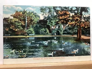 Duck Pond en Lincoln Park: Chicago, IL - Postal de colección - Imagen 1 de 3