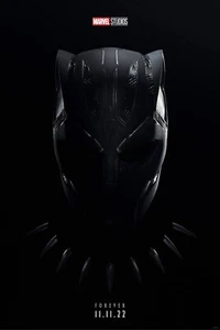 Black Panther Wakanda Forever B Original Movie Film Print Wall Poster 24x36 - Bild 1 von 1