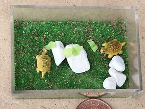 Casa delle Bambole 2 Tartarughe In Un Recinto Scala 1:12 Miniatura Giardino Pet Tumdee - Foto 1 di 6