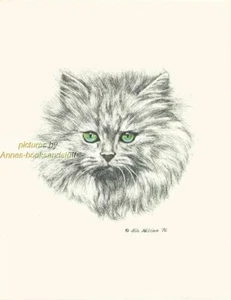 #116 GREY PERSIAN CAT * cat art print * pen & ink drawing by Jan Jellins - Picture 1 of 1