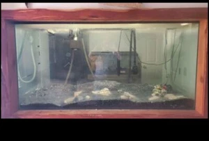 275 Gallon Aquarium And Accessories - Picture 1 of 14
