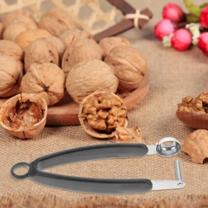 Kirschentkerner, Kirschkernentkerner, Kirschkernentkerner, Obst- und - Bild 1 von 12