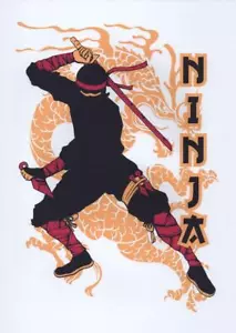 NINJA Japanese Warrior Reproduction A3 Gloss Poster Print - Picture 1 of 1