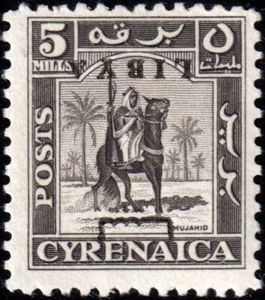 Libia - Regno Indipendente - 1951 - 5 m. grigio - Varietà Firmata Diena - MNH - Picture 1 of 2