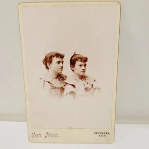 Vtg Cabinet Card Sisters Fancy Attire Van Hess Buchanan Michigan Photo Picture - Picture 1 of 5