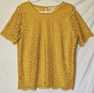 Top básico Philosophy para dama de encaje amarillo mostaza manga corta forrado talla L Foto 1 de 4