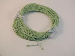 FLY LINE Gewicht vorwärts schwimmend 3WT geschweißte Schlaufe beide Enden Moosgrün 100' LN510 - Bild 1 von 1