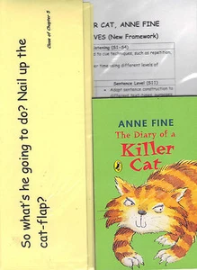 TAGEBUCH einer KILLERKATZE - Jahrgang 5, buchbasiert, Sprach- und Alphabetisierungsunterrichtspaket - Bild 1 von 5