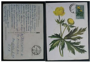 1963 Poland Protected Flowers Postcard ties 2.5Zt Stamp cd Poznan - Picture 1 of 3