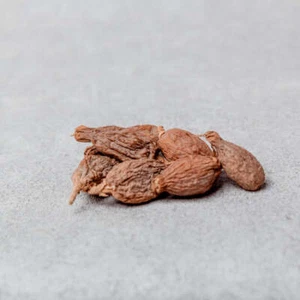 Nigerian Alligator Pepper (Atare) - Picture 1 of 1