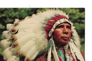 NORTH AMERICAN NATIVE , COLOR BY MIKE ROBERTS, BERKELEY, CALIFORNIA - Picture 1 of 2