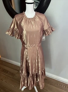 Nwt Rachel Parcell Pink Foil Ruffle Short Sleeve Dress Sz M Metallic Swing $159 - Picture 1 of 14