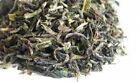 Darjeeling Tea (FRESH FIRST FLUSH) CASTLETON SFTGFOP I SPECIAL 500 gms 
