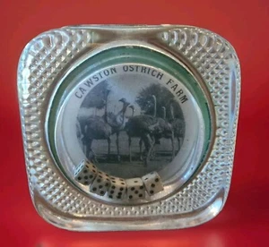 ANTIQUE 1908 ADVERTISING DICE PAPERWEIGHT~CAWSTON OSTRICH FARM~ 3" x 3" x 1.25" - Picture 1 of 5