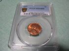 1951 P Lincoln Wheat Penny Pcgs Ms64rd  #Pen