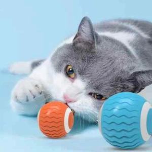 Interactive Cat Toy Wicked Ball with 2 Motion Modes - Picture 1 of 7