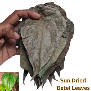 Dried Betel Leaves Herbal Pure Organic 100% Natural Ceylon Whole Leaves - Picture 1 of 11