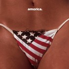 BLACK CROWES Amorica BANNER HUGE 4X4 Ft Fabric Poster Tapestry Flag album art
