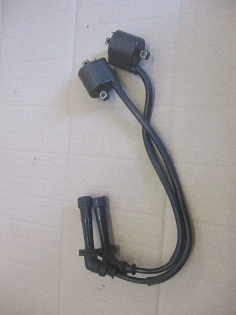 Bobines HT pour Suzuki 650 SV S - BY222 - Photo 1/1