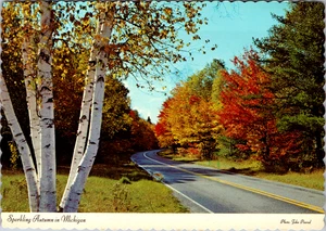 Vintage Postcard-Sparkling Autumn In Michigan Unposted - Picture 1 of 2