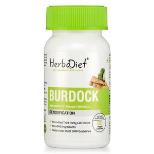 Burdock Root Extract 10:1 Veg Capsules Detoxify Blood Protect Liver Antrioxidant - Picture 1 of 4