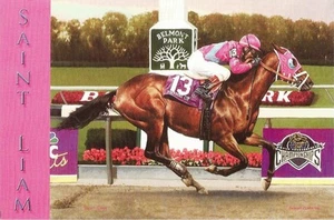 Cartolina NY Horse Racing Breeders Cup Classico Belmont Saint Liam Cavallo dell'anno  - Foto 1 di 1