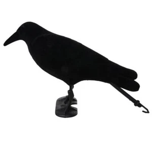 Flocked Hard Realistic Calling Crow Decoy Rook Decoying Hunting - Picture 1 of 11