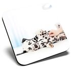 Square Single Coaster - Cute Dalmatian Puppy Dog Vet  #2698