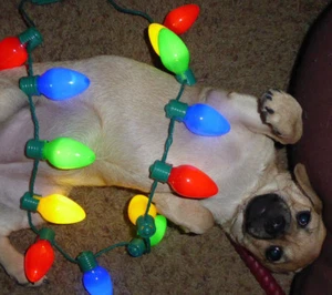 Blinkende Weihnachtsbeleuchtung Halskette große Glühbirne 10 LED 4 Modi 4 Farben - Bild 1 von 9