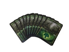 Forest Showcase Foil Core 2021 M21 Lot x10