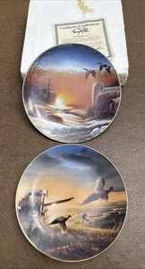 Lotto 2 piatti da collezione Terry Redlin usati in ottime condizioni preghiera serale, sorpresa - Foto 1 di 7