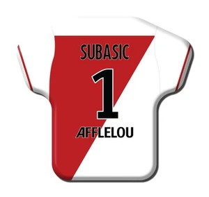 Calamita Simile a T-Shirt Calcio Stagione 2015/2016 Monaco 1 Danijel Subašic - Picture 1 of 9