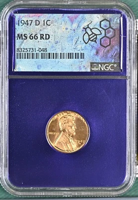 1947 D NGC MS66 RD Lincoln Wheat Cent 1c purple core - Image 1 of 2
