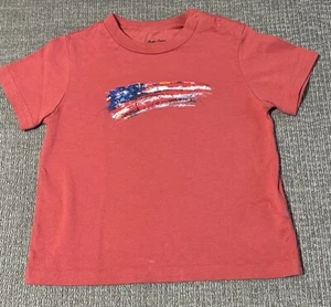 NUEVO CON ETIQUETAS Ralph Lauren Bebé Niños Bandera Americana Manga Corta Camiseta Camiseta Talla 12Mos - Imagen 1 de 3