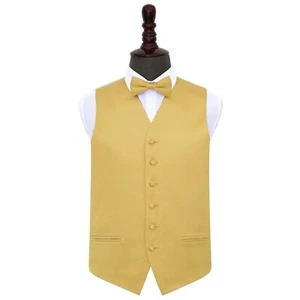 Gold Plain Satin Solid Mens Wedding Waistcoat And Bow Tie Set by DQT - Picture 1 of 4