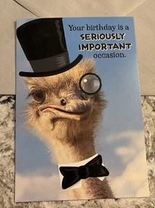 Funny Birthday Seriously Important ๐คฃ Humor 5.5โ X 8โ Hallmark Greeting Card - Picture 1 of 10