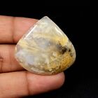 Toppest Tiger Dendrite Agate Cabochon Heart Shape Natural Gemstone 47 Cts Tg-35