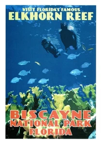 Postkarte Biscayne Nationalpark Florida Elchhornriff Schnorcheln WPA Stil - Bild 1 von 2